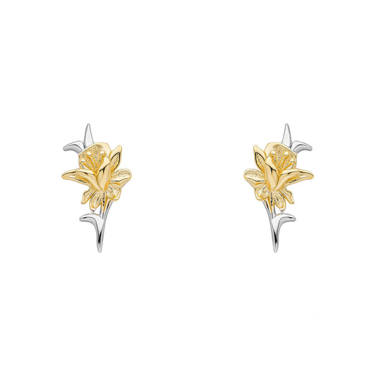 Laura Ashley Heritage Daffodil Stud Earrings