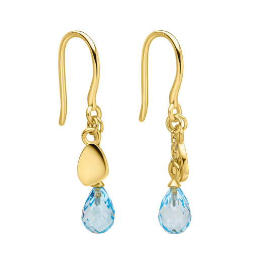 Everingham Meadow Blue Topaz Briolette Earrings