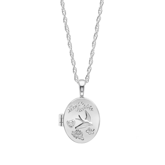 Blue Birds Locket